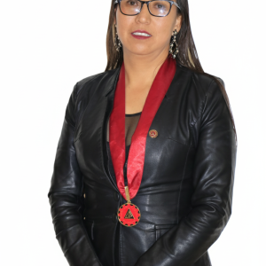 Jaime Anccasi Yanet Director Secretario